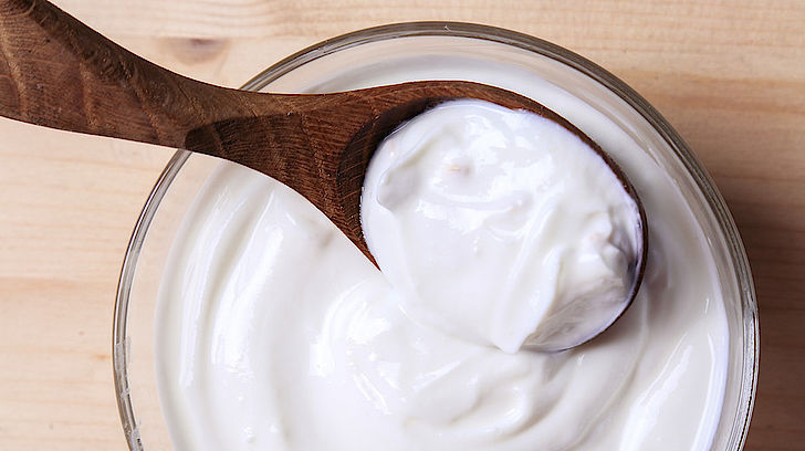 Joghurt – Bakterien am Werk